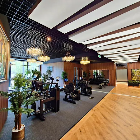 Hotel Platinia-2