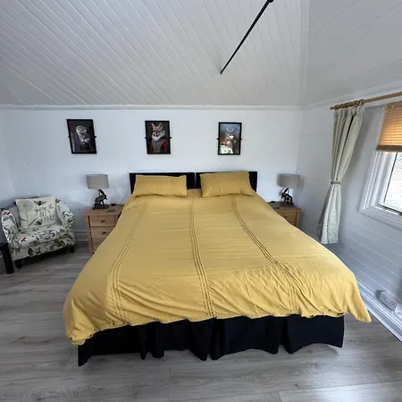 Woodland Chalet At Otters Green-3