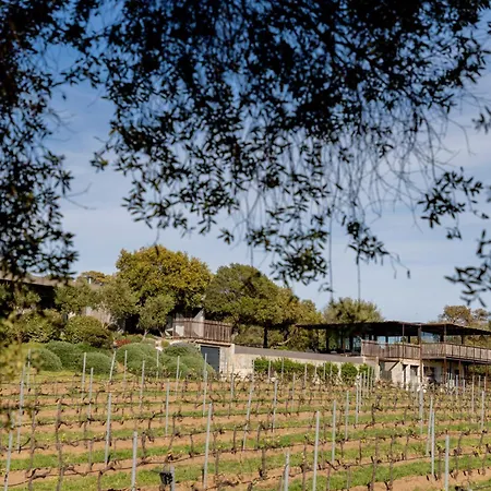 Domaine De Peretti Della Rocca-3