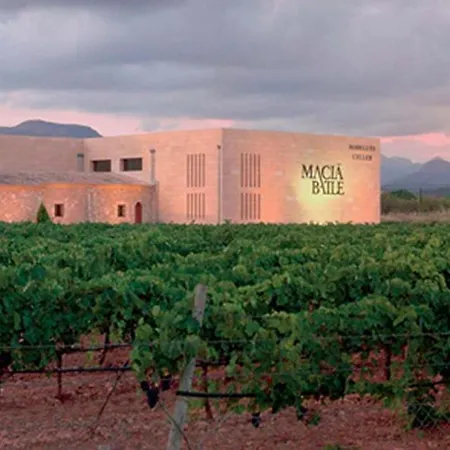 Agroturisme Sa Torre (Adults Only)-2