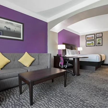 La Quinta By Wyndham Pearland-3