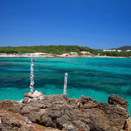 Bluesea Paraiso Beach - Adults Only-2