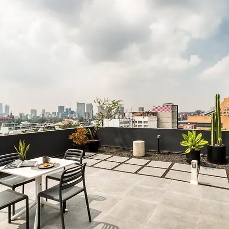 Uliv Antara-2
