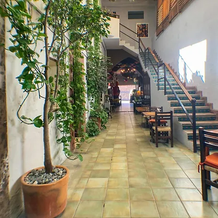 Hotel Mesones 49-2