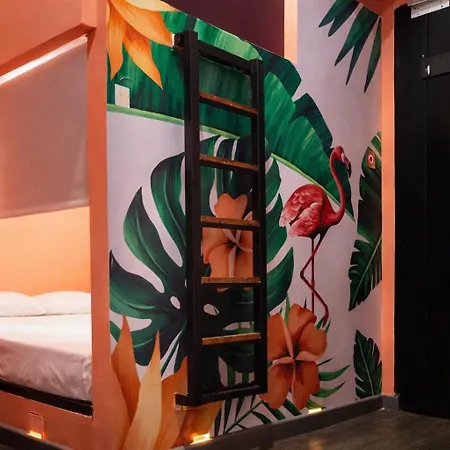 Seven Nights Hostel Cartagena-3