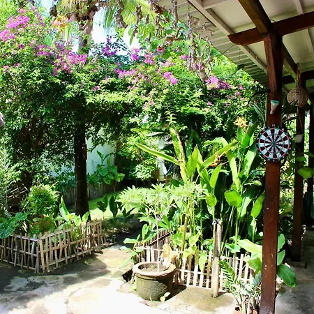 Follow The Rabbit Bungalow-2