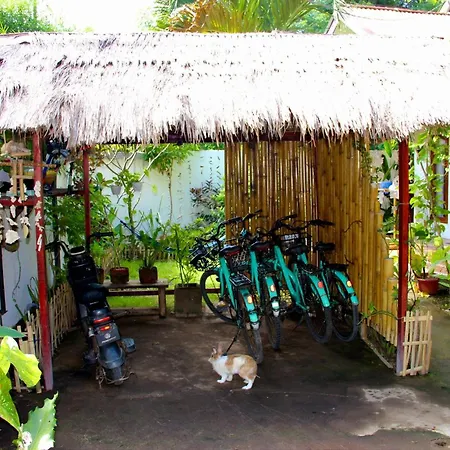 Follow The Rabbit Bungalow-2