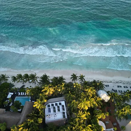 Olas Tulum-2