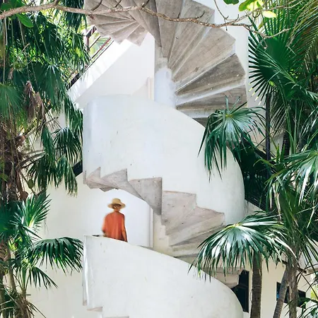 Olas Tulum-3