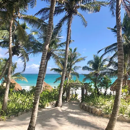 Olas Tulum-3
