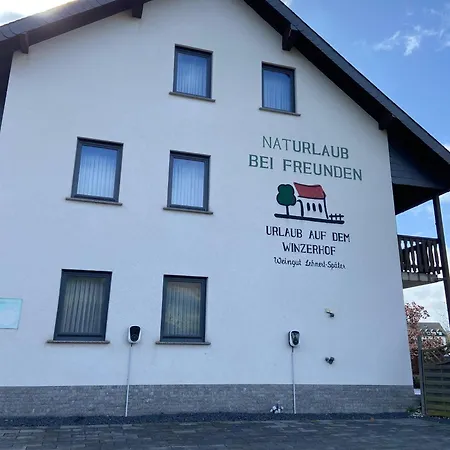 Weingut Lehnert-Später-2