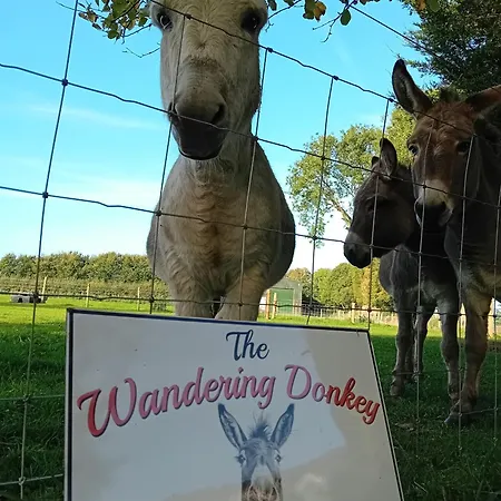 The Wandering Donkey Guest House-3