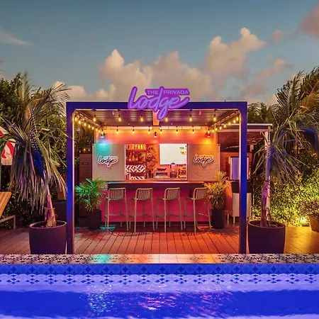 Privada Stays - Lofts With Private Pool And Oasis, Near Eagle Beach-2