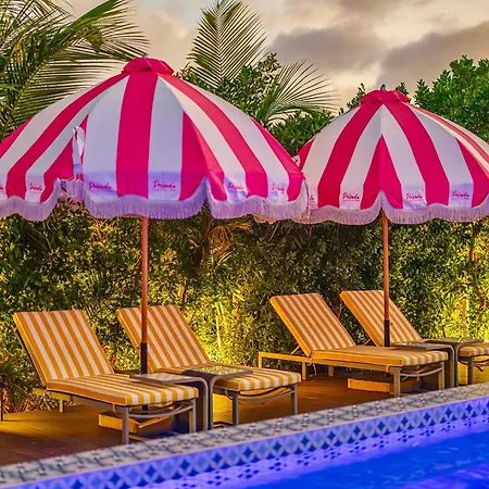 Privada Stays - Lofts With Private Pool And Oasis, Near Eagle Beach-2