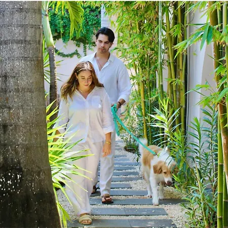 Pachamaya Holistic Wellness Boutique Hotel & Spa - Adults Only-3