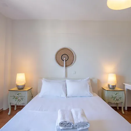Villa Fiamegou Andros-2