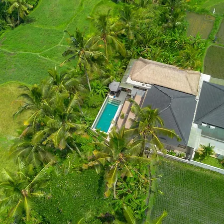 Bali View Ubud Hotel-3