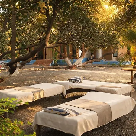 Gir County Resort-3