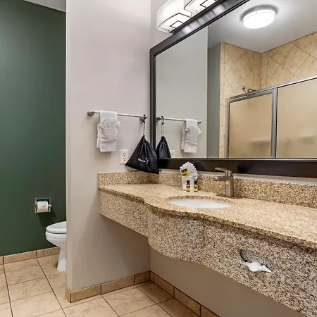 Best Western Plus Duncanville Dallas-3