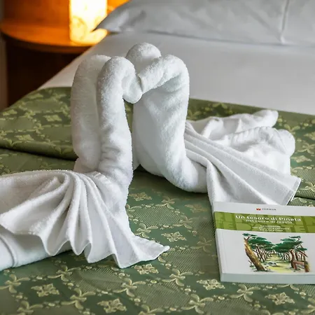 Hotel Oasi Verde-2