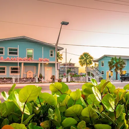Flamingo Inn-3