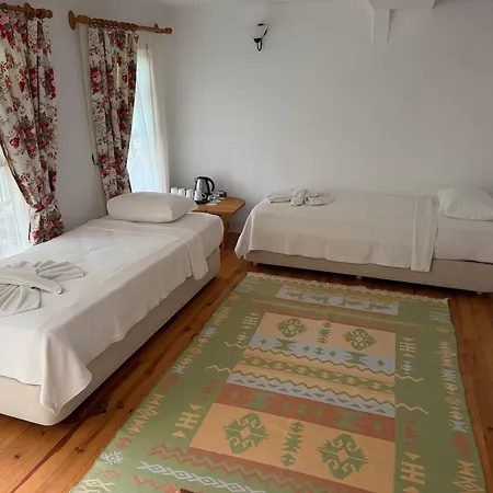 Blue Star Hotel-2