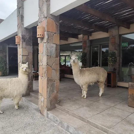 Hotel Limari-3