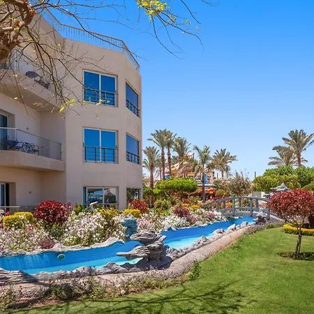 Seagull Beach Resort - Families And Couples Only-3
