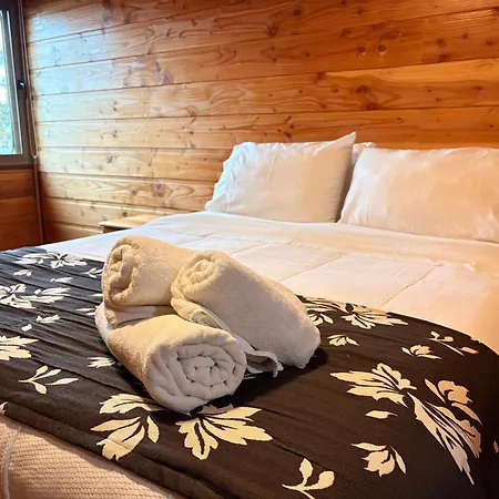 Alpes Hotel-2
