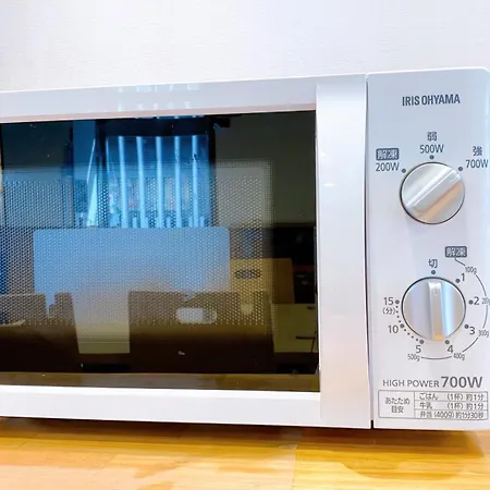 レックスインなんば-2