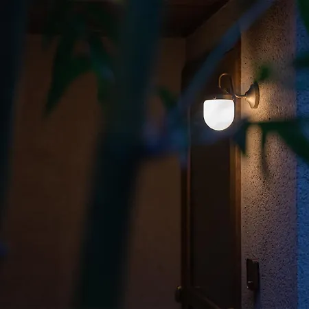 Tamao-たま靑--2