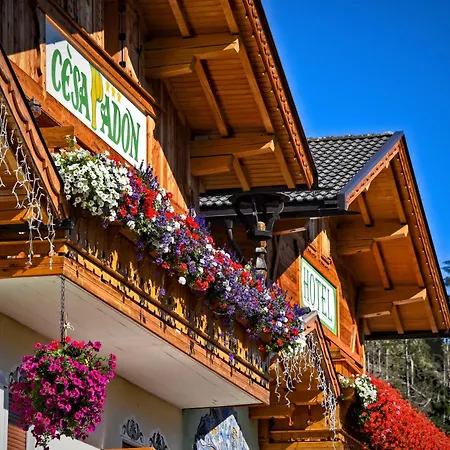 Hotel Cesa Padon-2