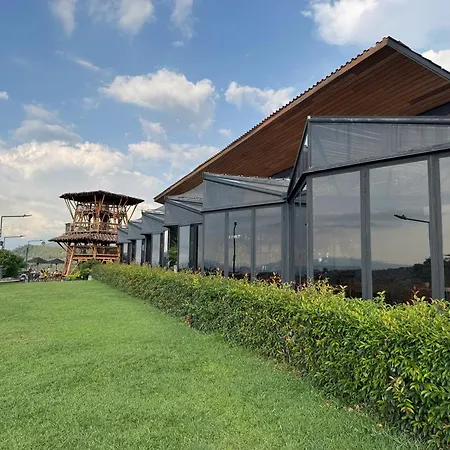 Finca Del Cafe - Casa Typica-2