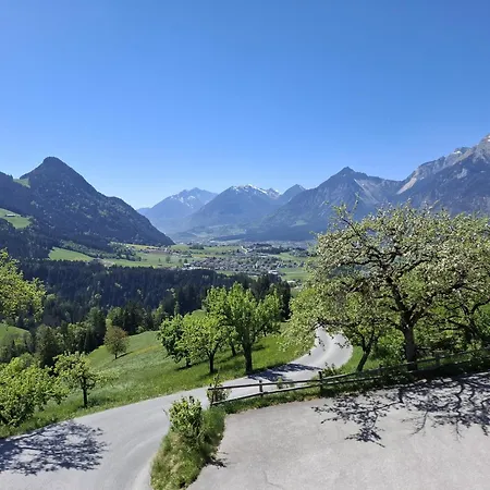 Hotel&Alpengasthof Pinzgerhof-3