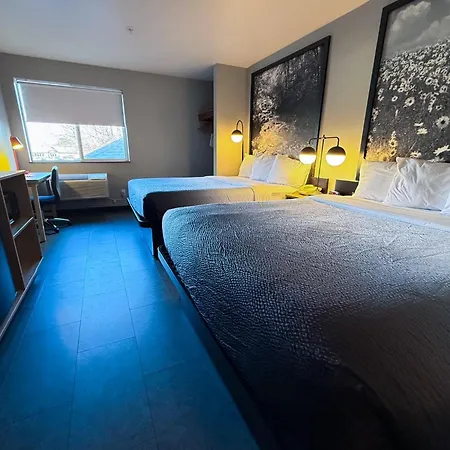 Super 8 By Wyndham Windsor-3