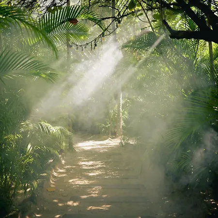 Nomade Temple Tulum-3