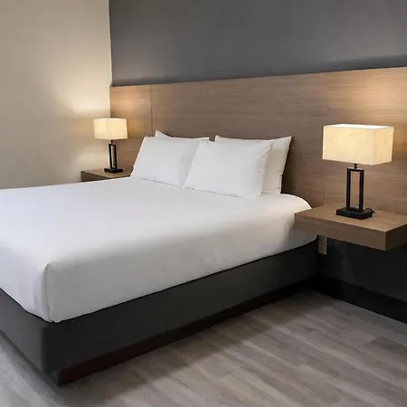 Surestay By Best Western Whitecourt-2