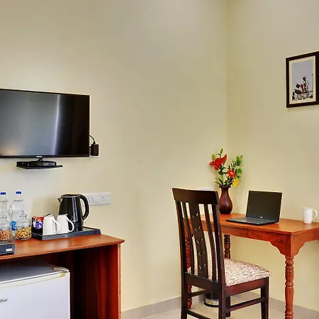 Padmini Bagh Resort-2