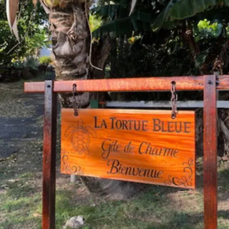 Bungalow La Tortue Bleue Piscine & Malendure-3