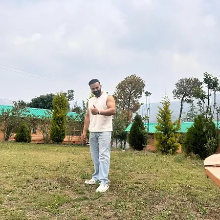 Golden Valley Cottages, Chail-2