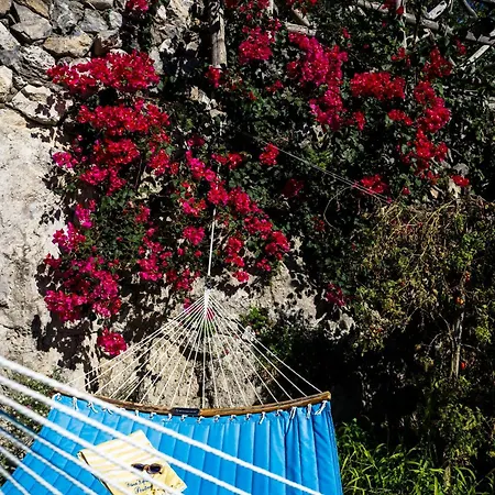 Petrea Lifestyle Suites-2