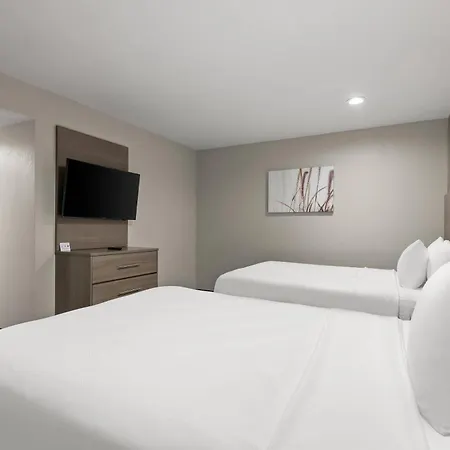 Quality Suites Wildwood - The Villages-2