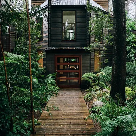 Rakau Lodge-2