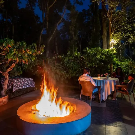Avocado Cottages By Alaya Stays, Coorg-2