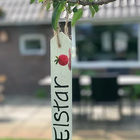Vakantiehuis Bed en Breakfast in de Tuin-2
