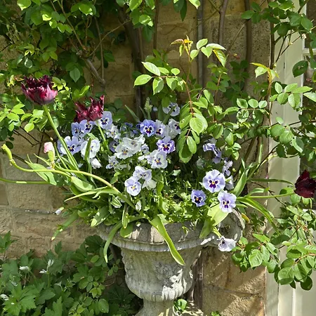 Orchard Cottage-3