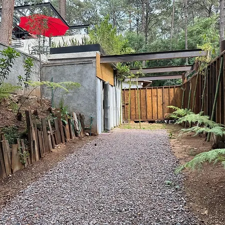 Encino House Hotel & Glamping Valle De Bravo-3