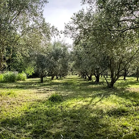Domaine De La Violette-3