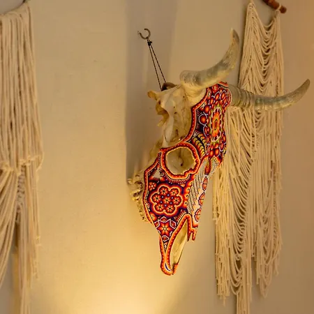 Hotel Amaca Puerto Vallarta - Adults Only-3