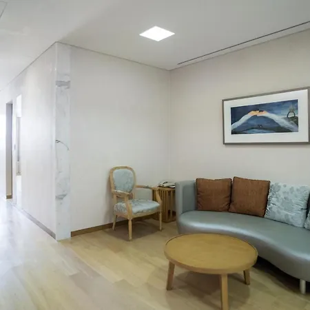 Mayfield Hotel Seoul-3